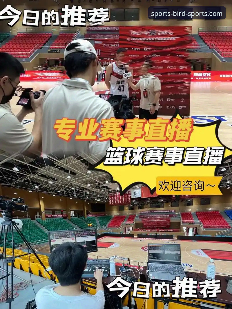全球赛事直播小鸟体育 全球赛事直播小鸟体育深度评测:不止于观看,更是体育生态的革新体验