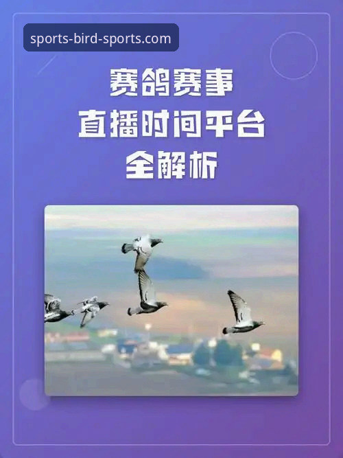 全球赛事直播小鸟体育常见问题完整指南：从安装到流畅观看的实用解析