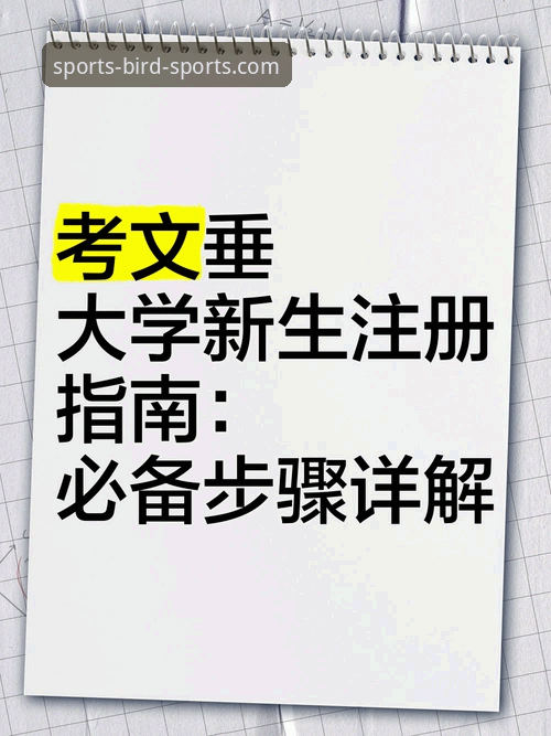 2026小鸟体育高清直播使用心得：从注册到流畅观看的完整指南